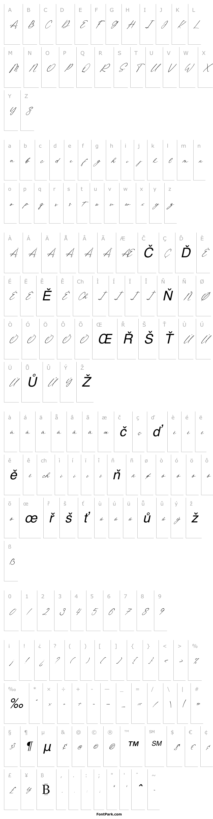 Přehled Shatoshi Signature Italic