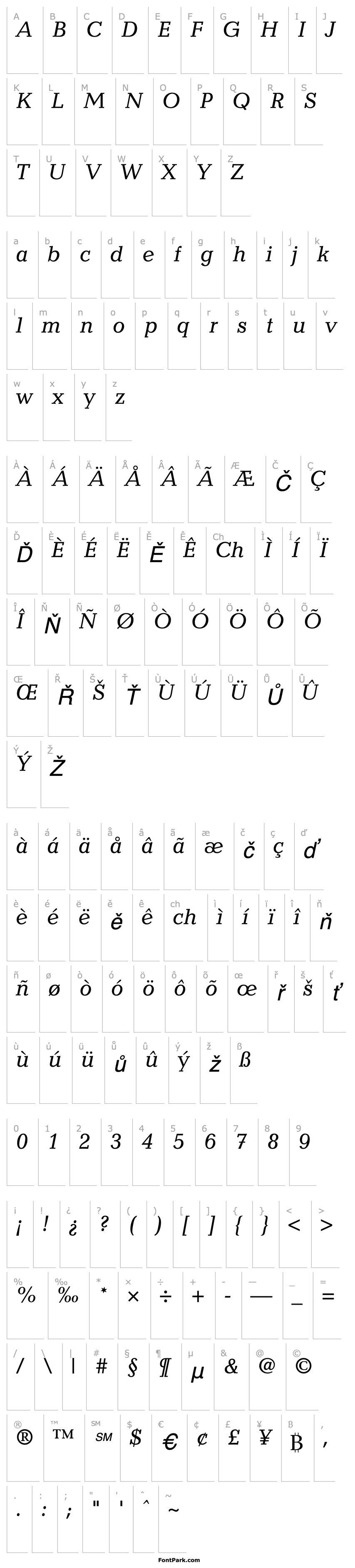 Přehled 12Candida**13042-Italic