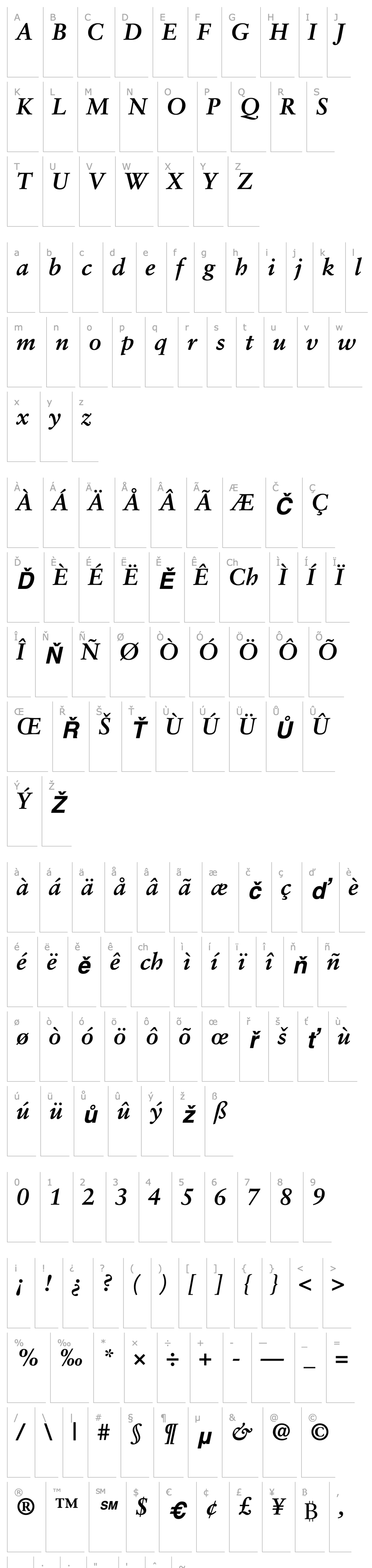 Overview 12Sabon*14232-Bold Italic