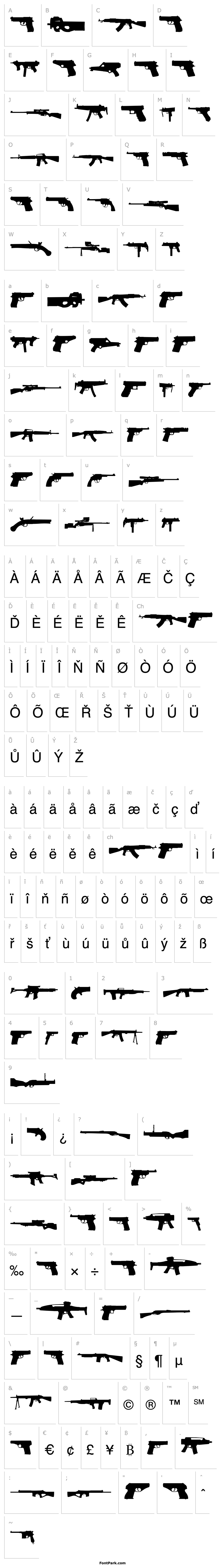 Overview 2nd Amendment