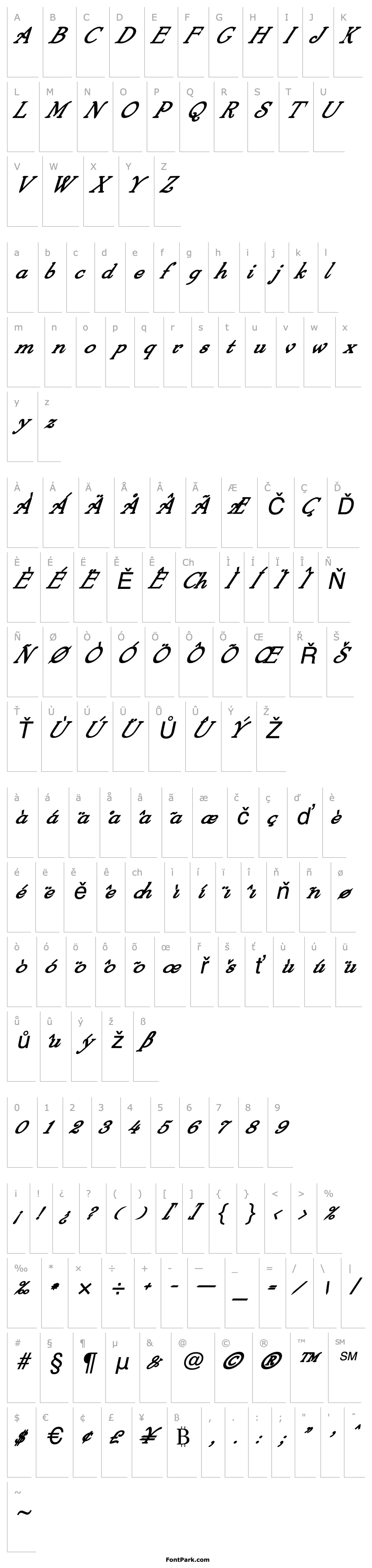 Overview 4ArmJoltScriptBoldItalics