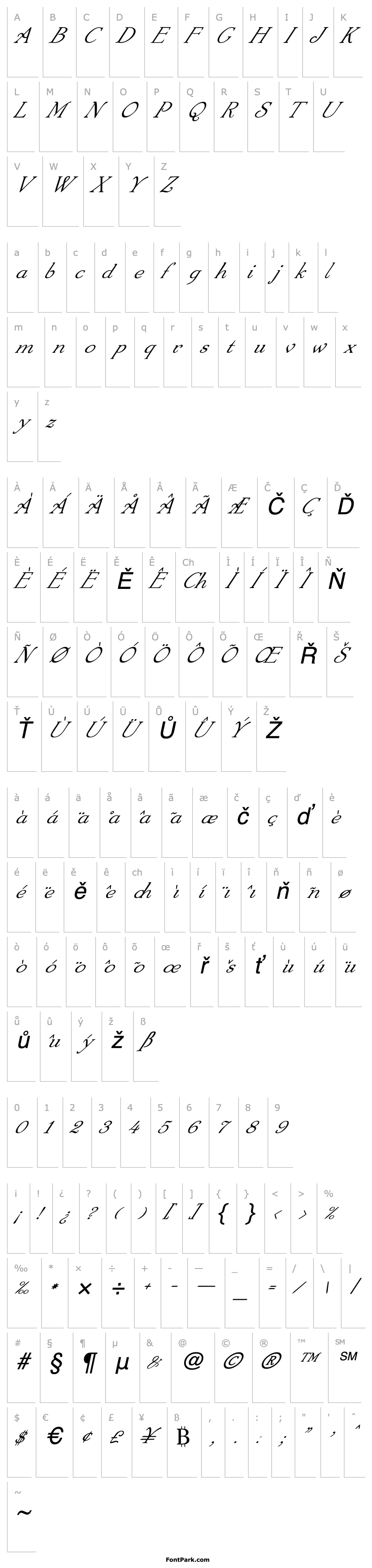 Overview 4ArmJoltScriptItalics