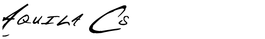Preview Aquila Cs