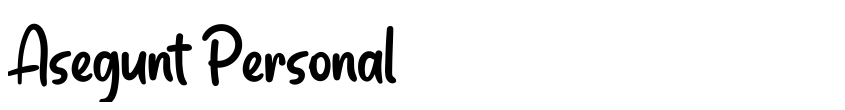 Preview Asegunt Personal