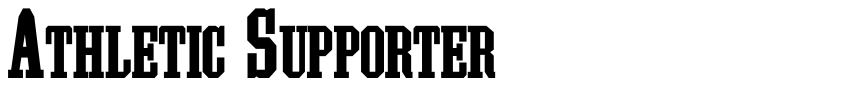 Preview Athletic Supporter