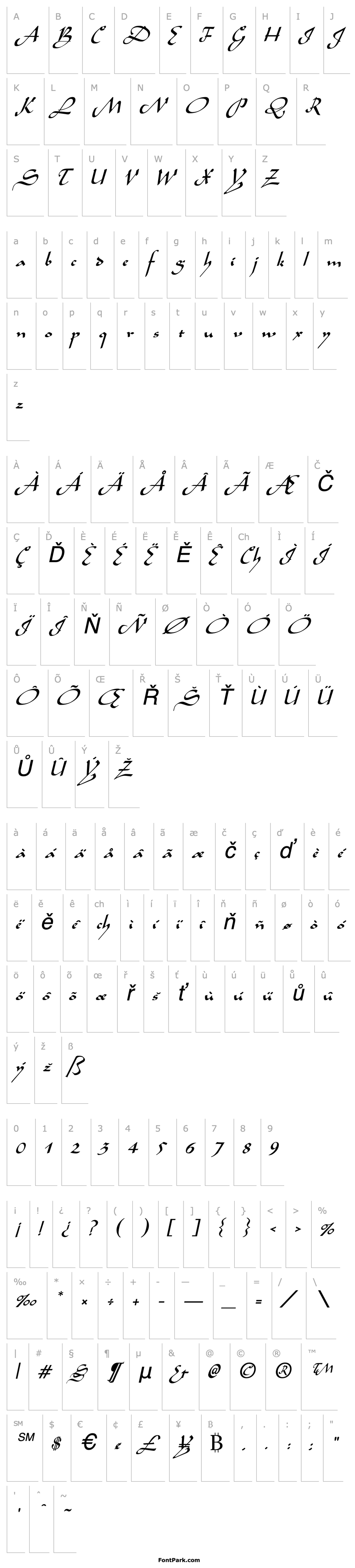 Overview Aladdin Italic