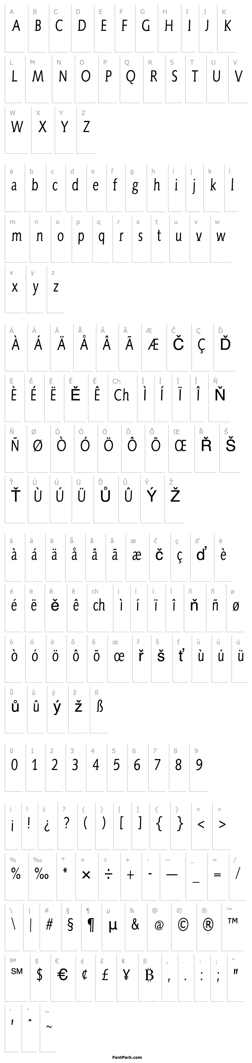 Overview AidaSerifa-Condensed