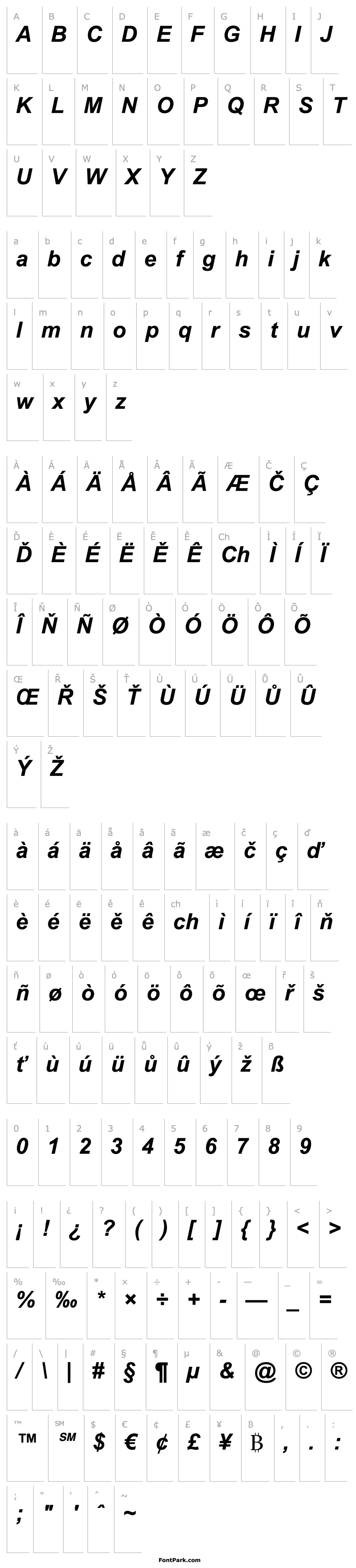 Overview Arial Bold Italic