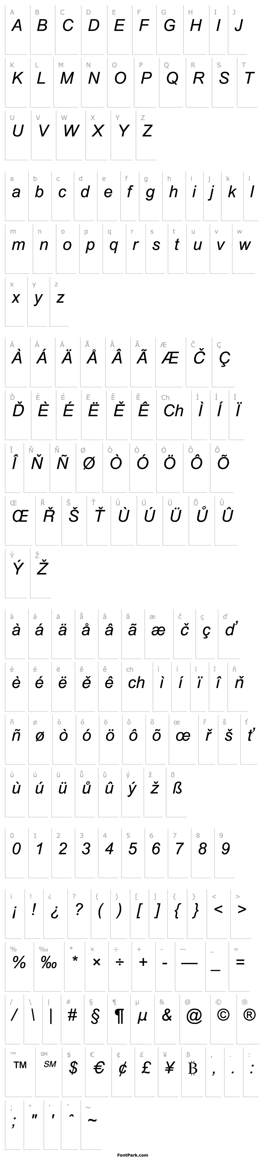 Overview Arial Italic