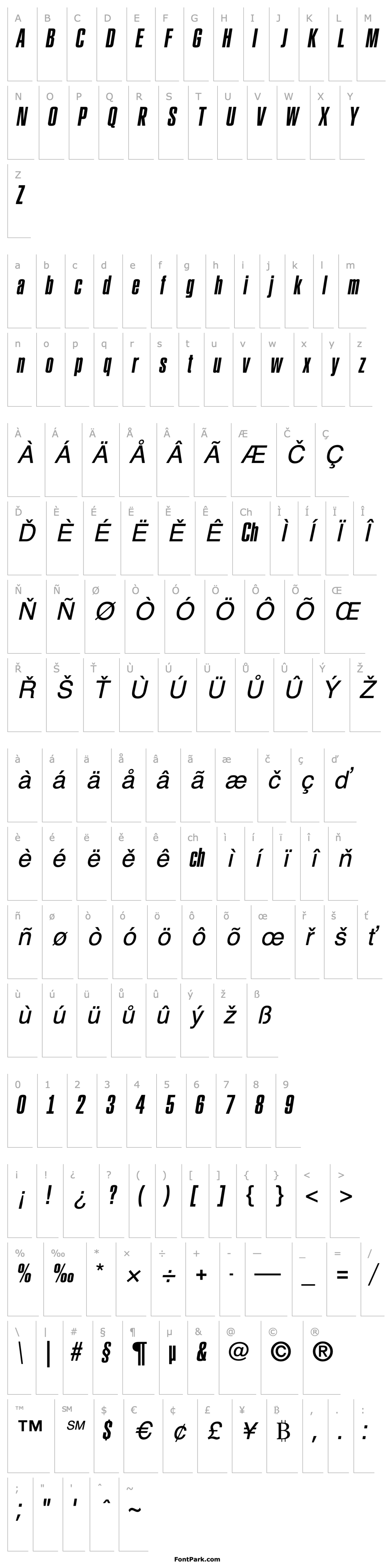 Přehled a_RubricaXtCn Italic