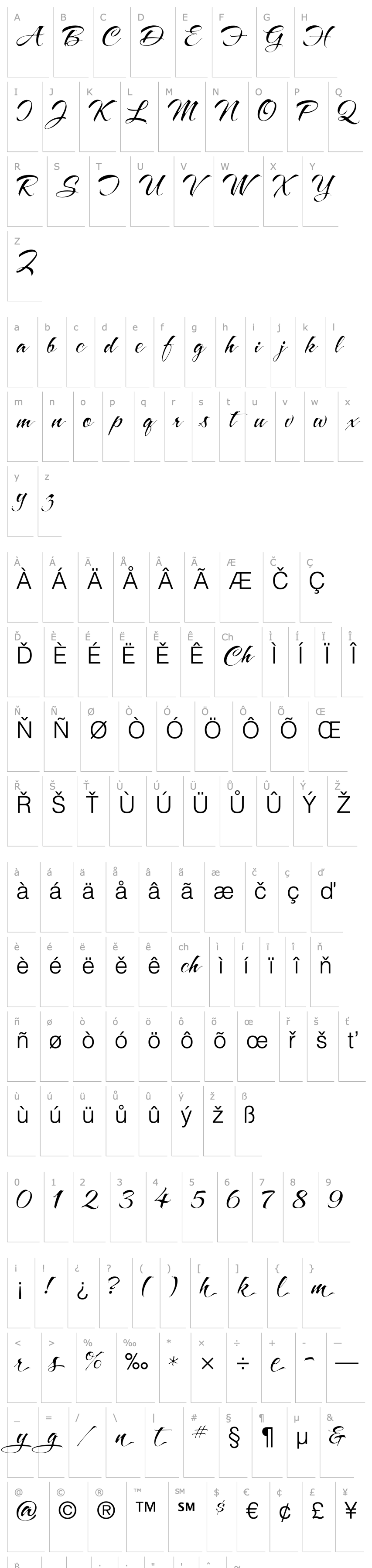 Overview A&S Snapper Script Light