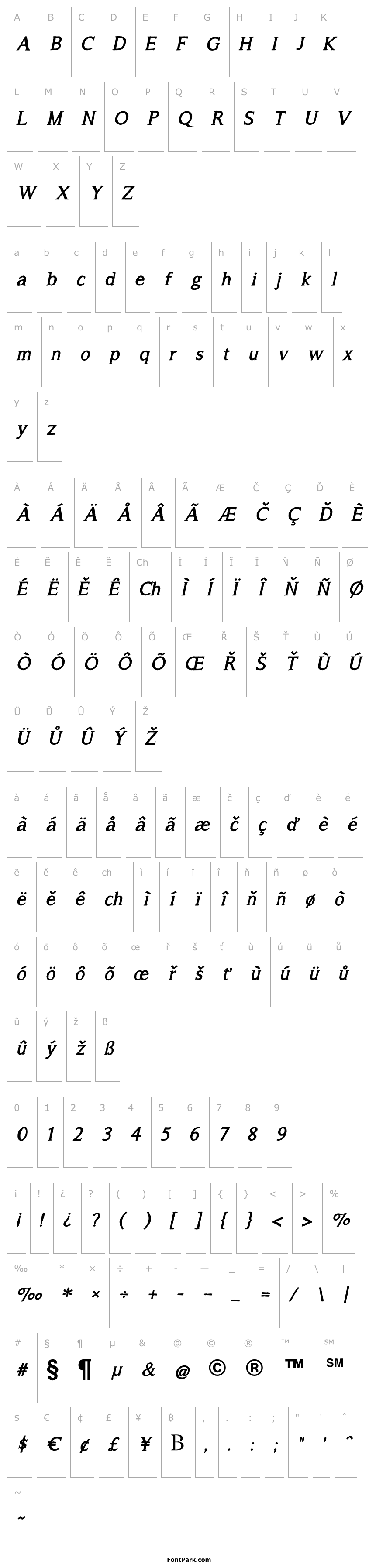 Overview A Song For Jennifer Bold Italic