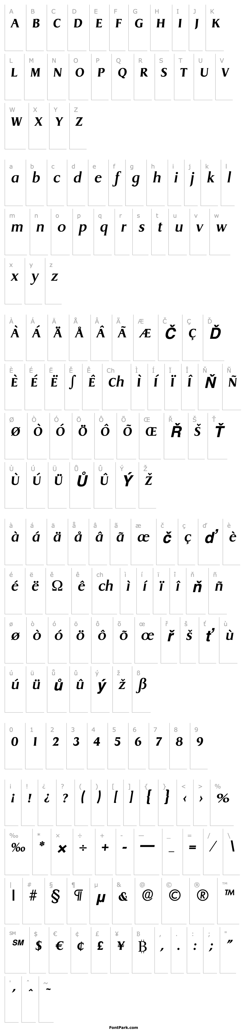 Přehled AaronBecker Bold Italic