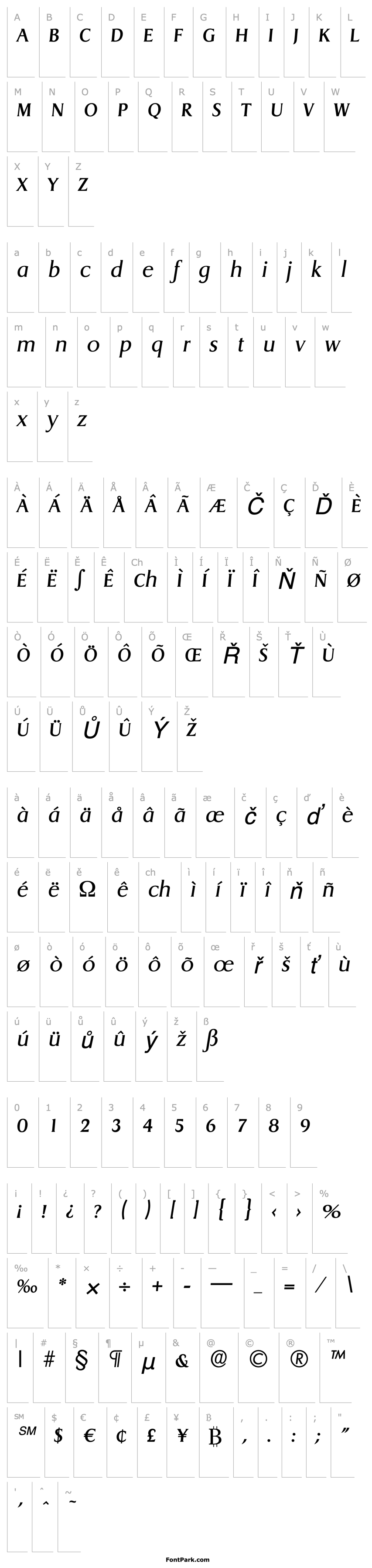 Přehled AaronBecker Italic