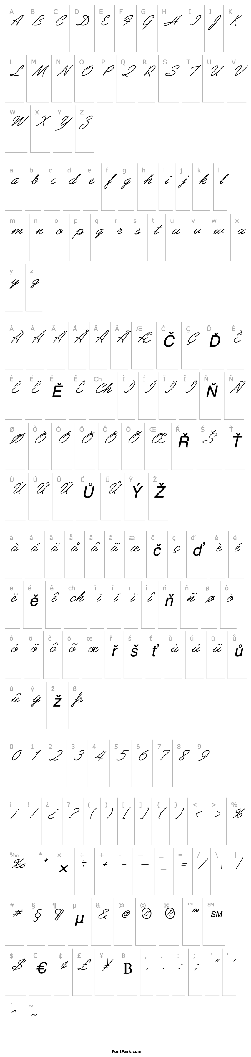 Přehled Abrazo Script SSi Italic