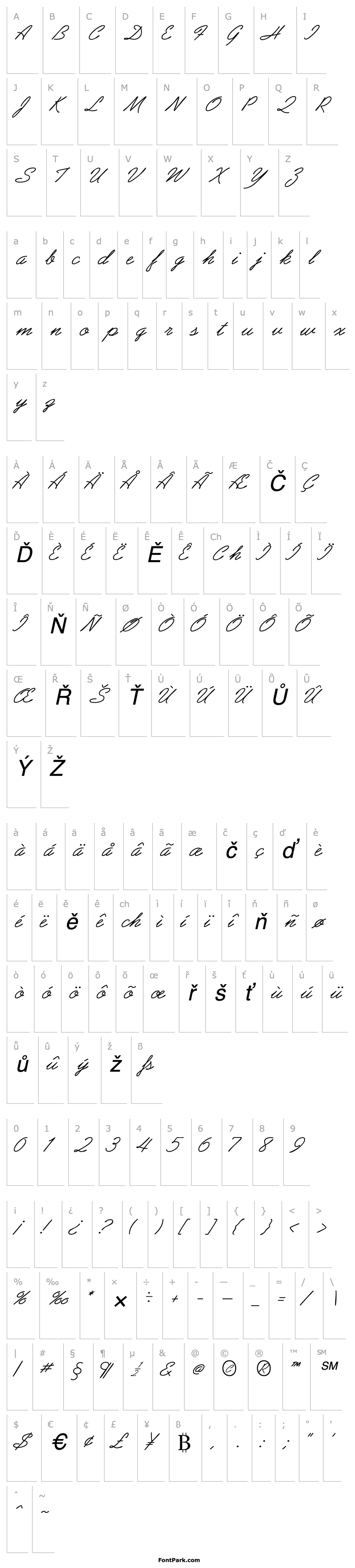 Přehled AbrazoScriptSSK Italic