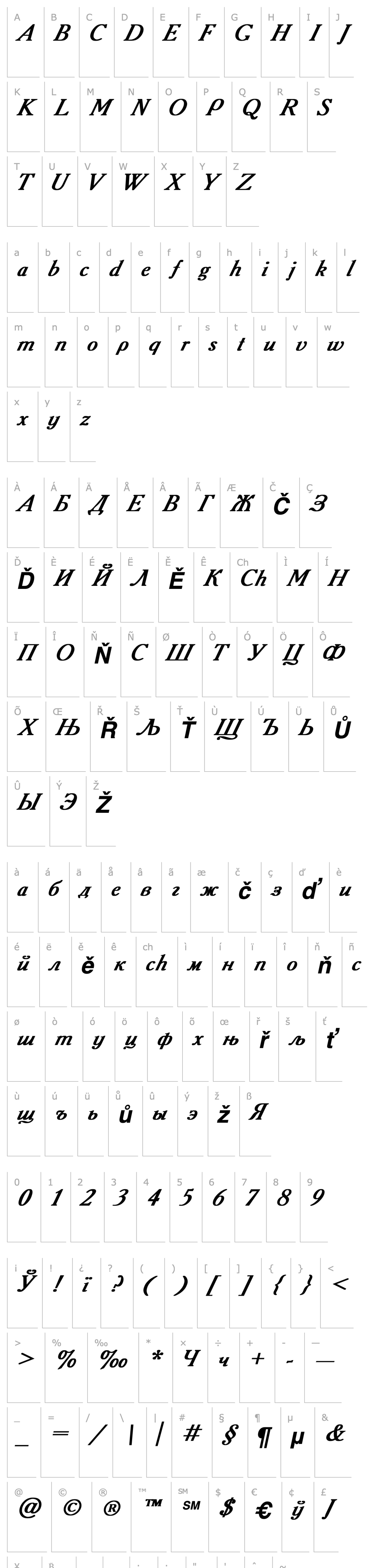 Overview Academy Bold Italic