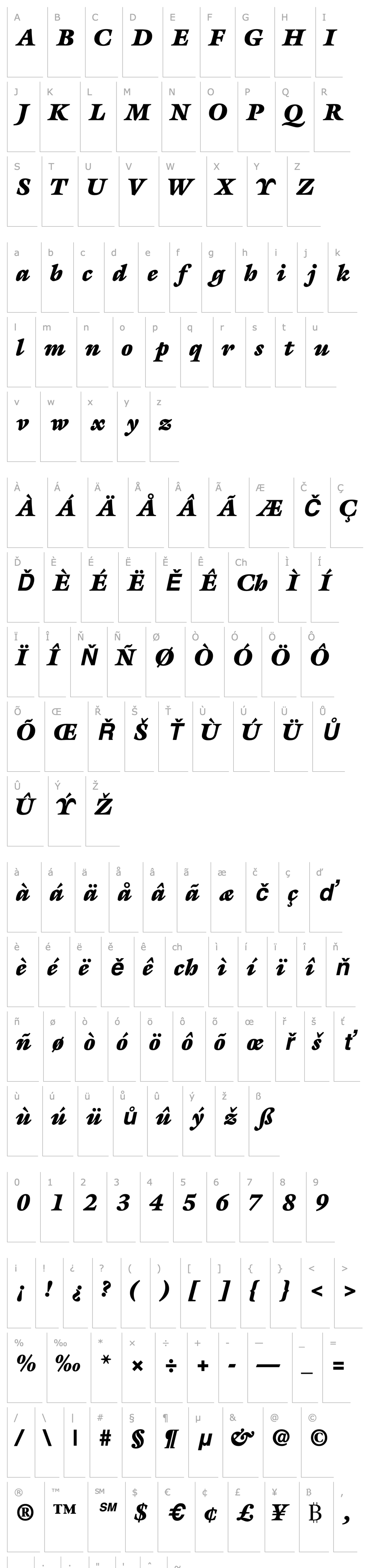 Přehled AcanthusBlackSSK Bold Italic