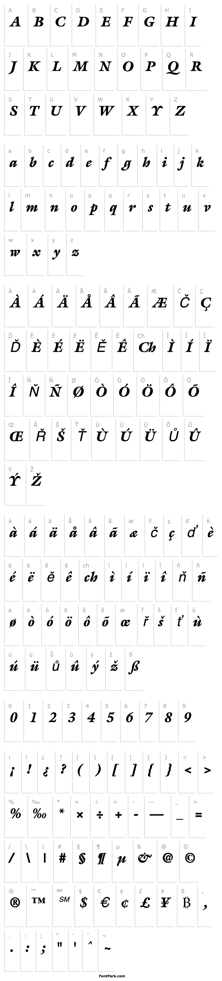 Přehled AcanthusBlackSSK Italic