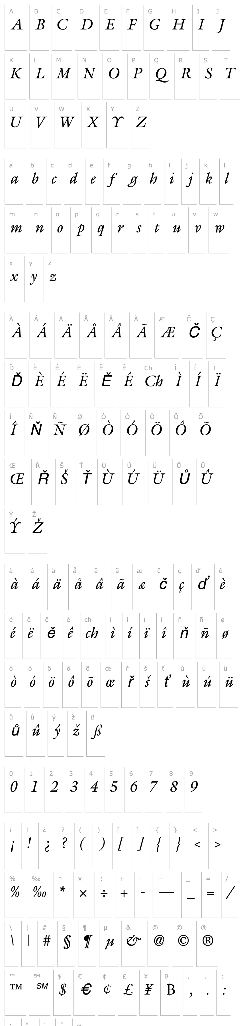 Přehled AcanthusSSK Italic