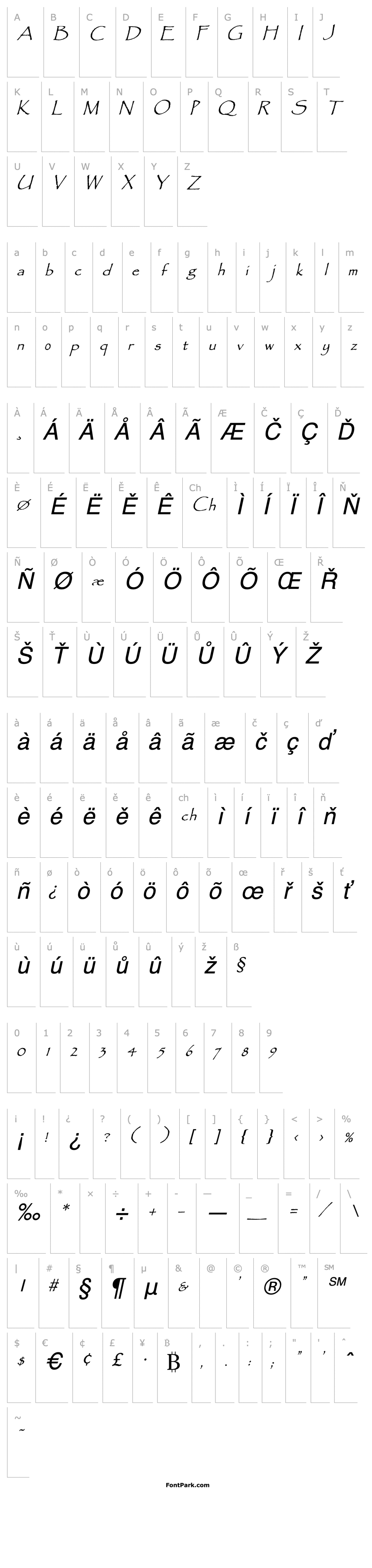 Přehled Access Italic