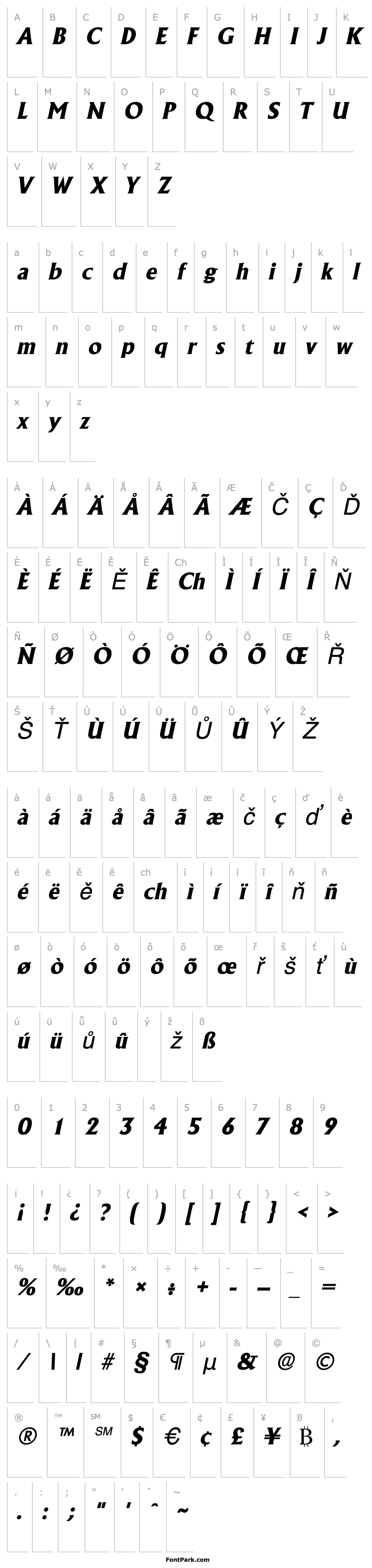 Přehled AcclaimExtrabold Italic