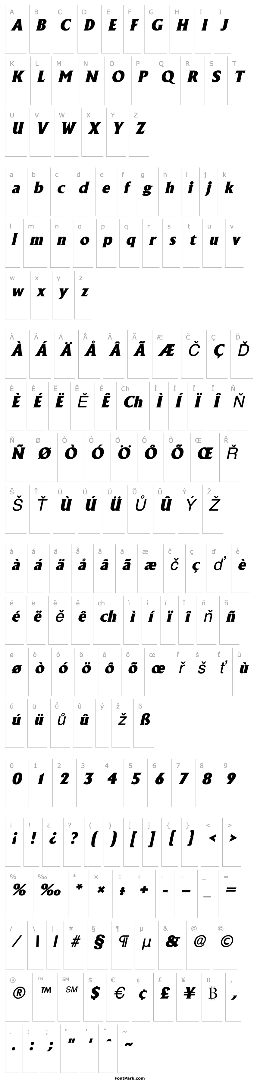 Přehled AcclaimHeavy Italic