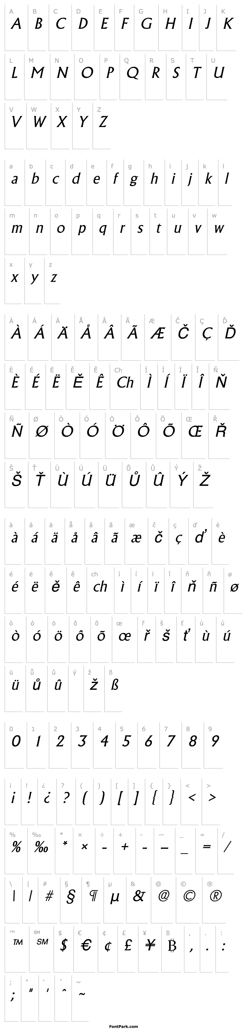 Overview AcclaimLight Italic