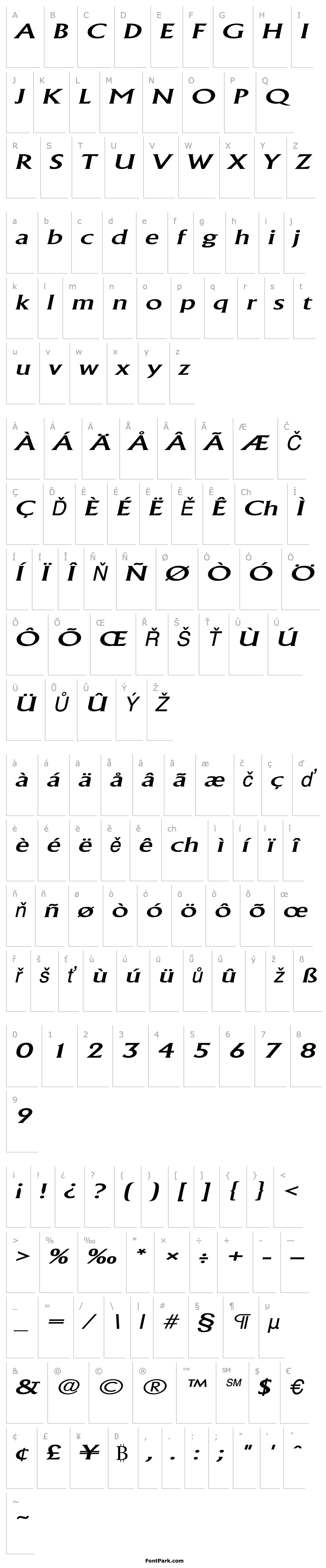 Přehled AcclaimWide Italic