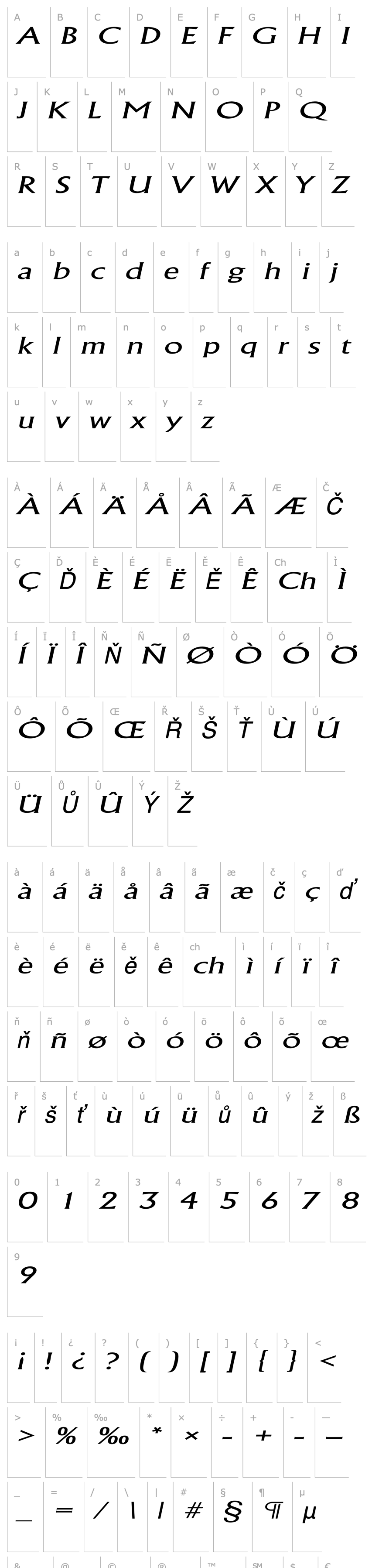 Overview AcclaimWideLight Italic