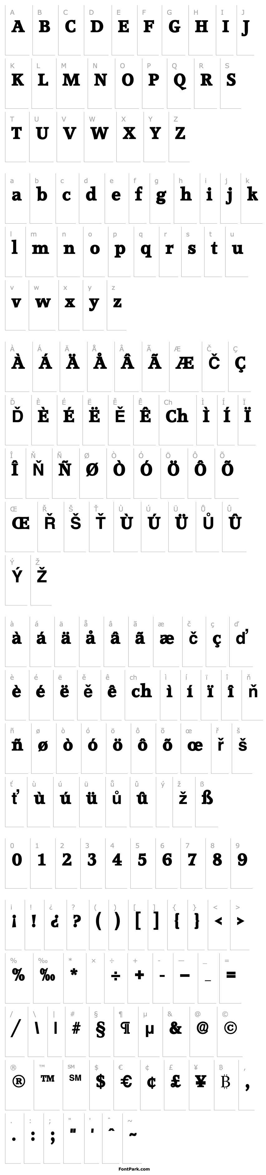 Přehled Accord Heavy SF Bold