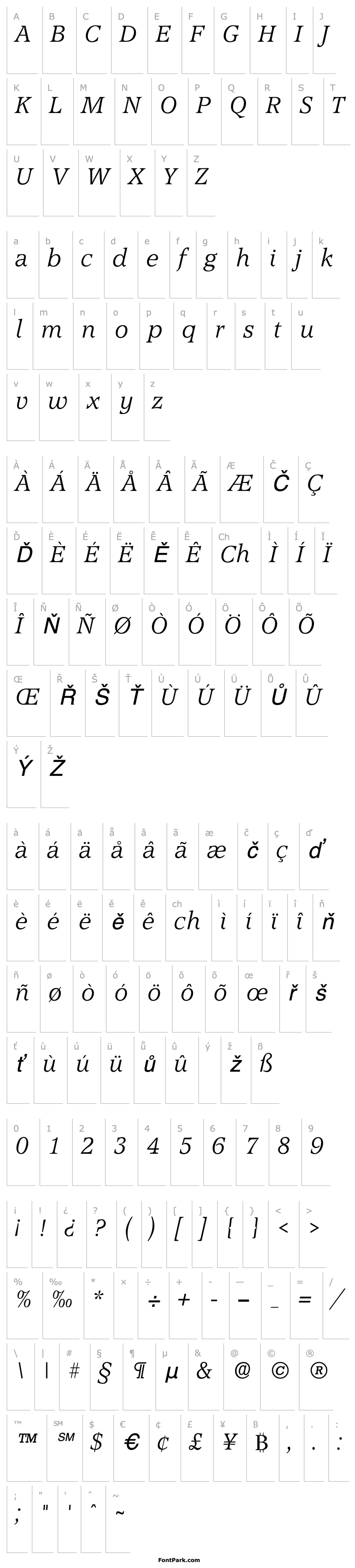 Přehled Accord Light SF Italic