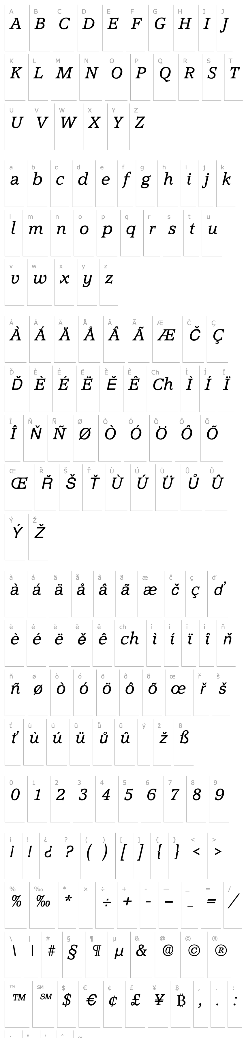 Přehled Accord SF Italic