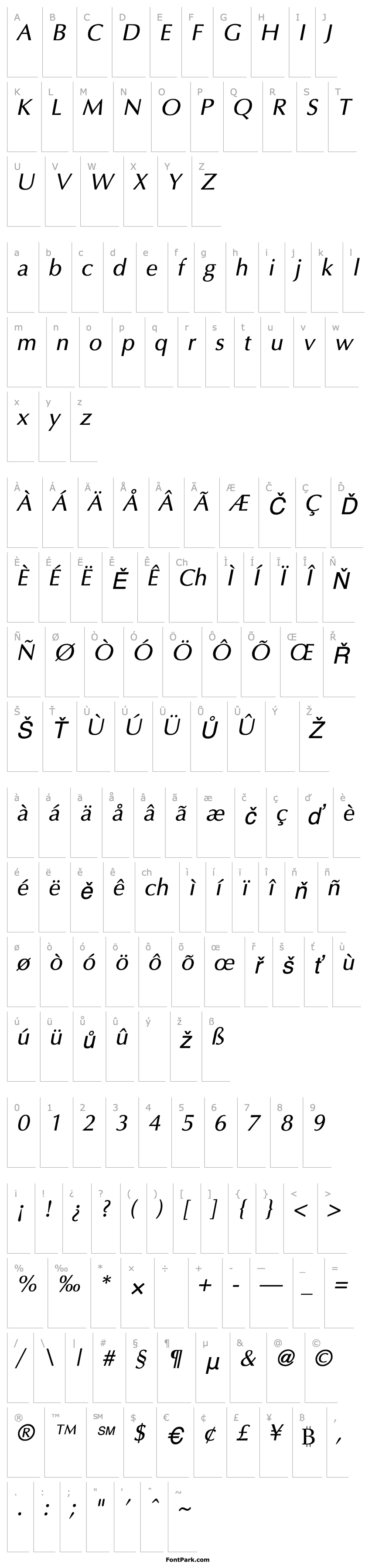 Overview Ace Italic