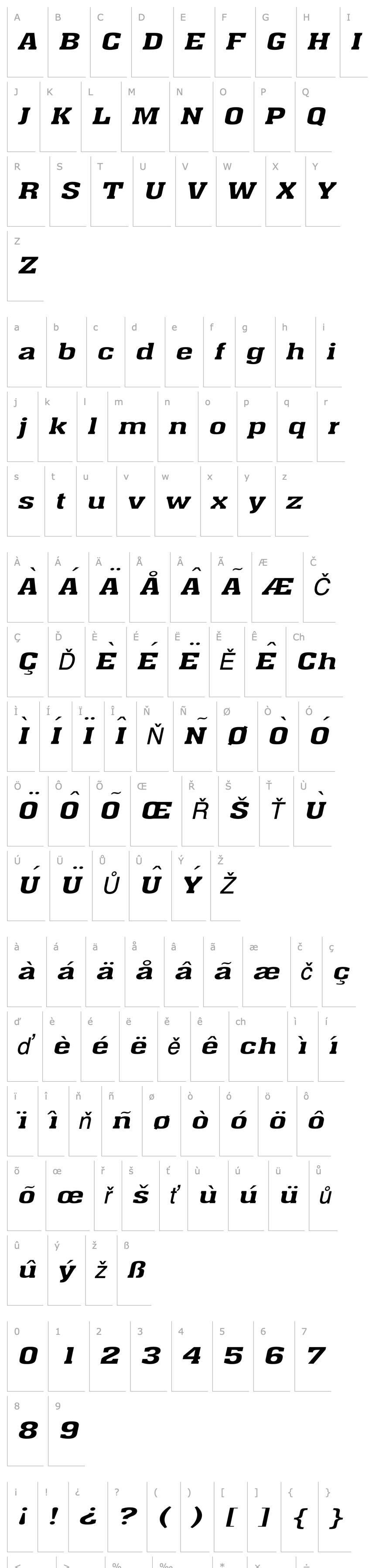 Overview Ache Extended Italic