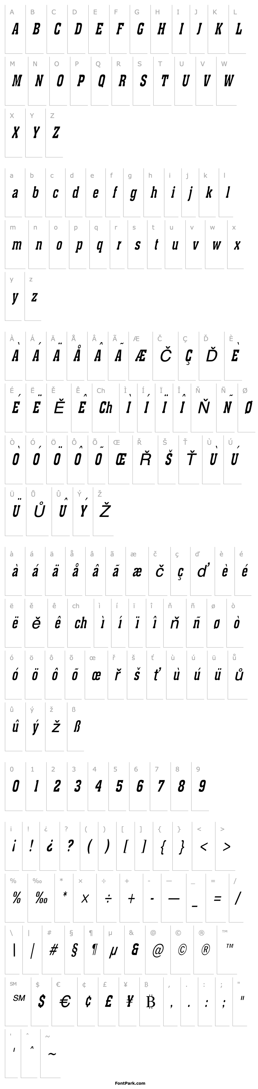 Overview Ache Thin Italic