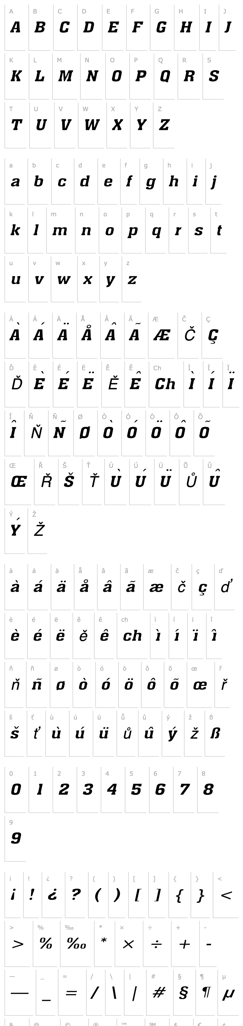 Overview Ache Wide Italic