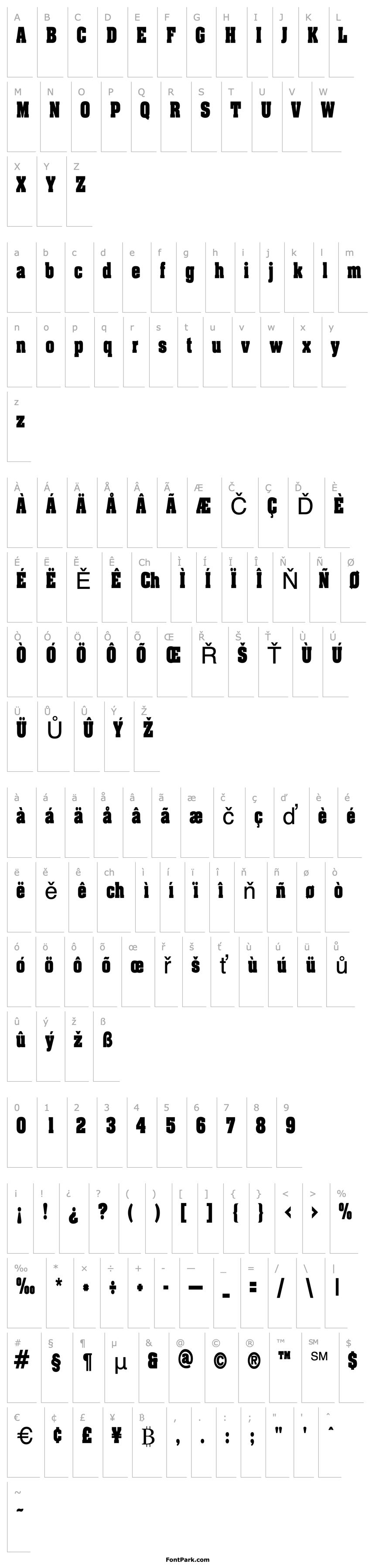 Overview AcklinCondensed Regular