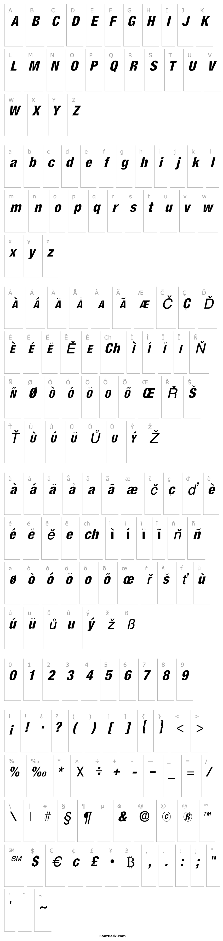 Přehled AcmoSSK Italic