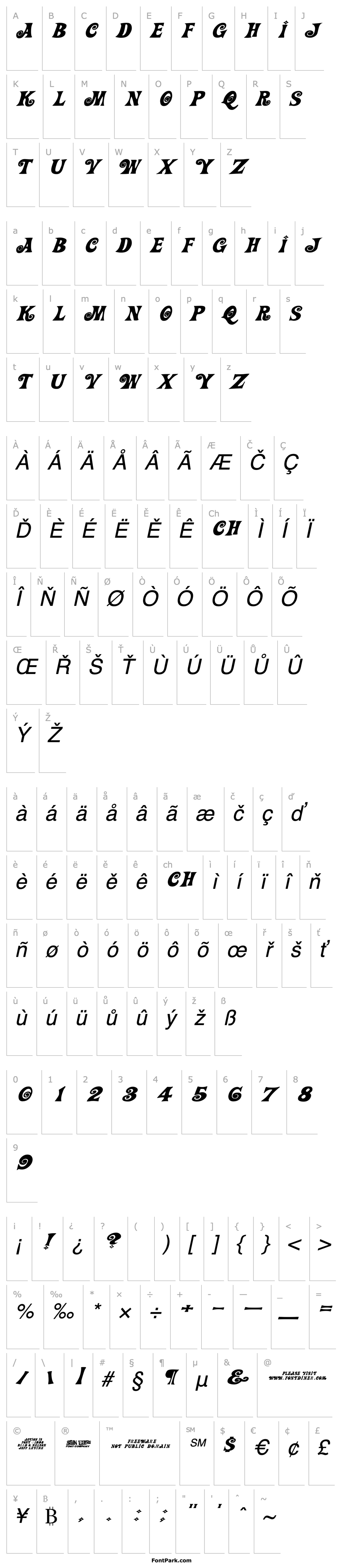 Overview Action Is, Wide & Diagonal JL Expanded Italic