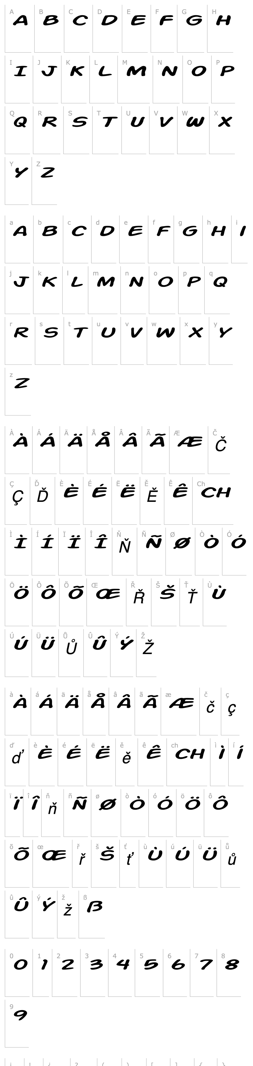 Přehled Action Man Extended Italic