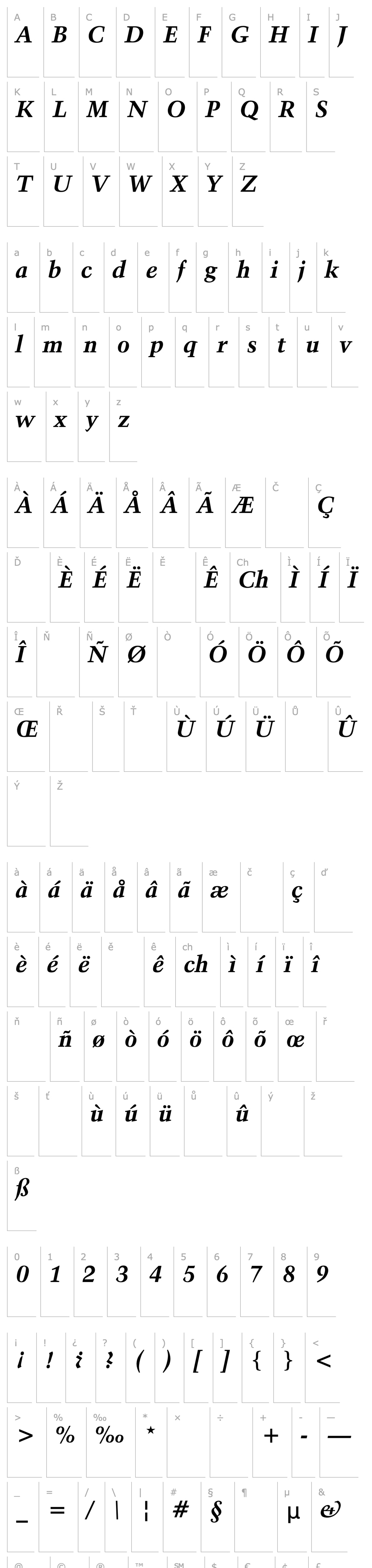 Přehled Activa-BoldItal