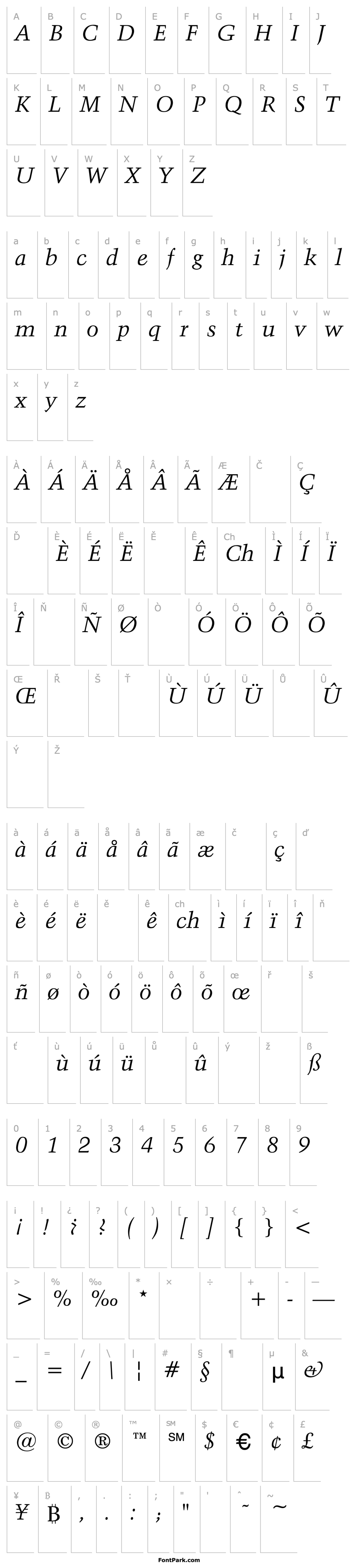 Přehled Activa-Italic