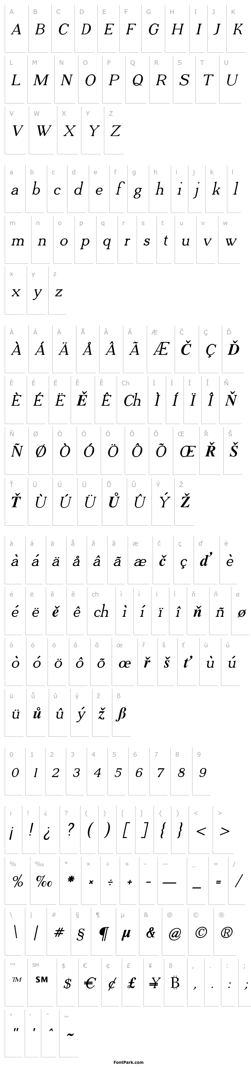 Přehled Adega Serif Bold Italic