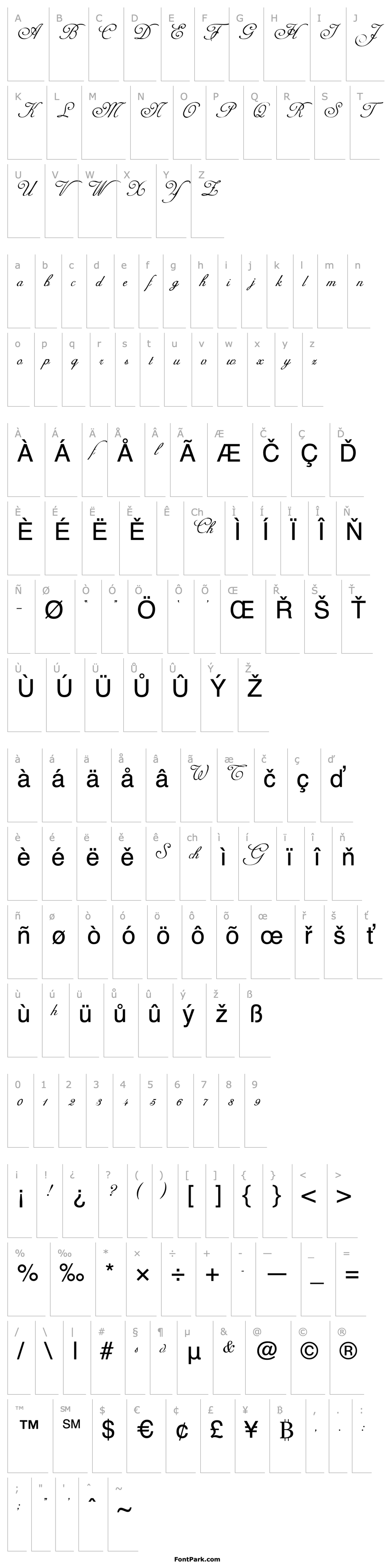 Přehled AdineKirnberg Script