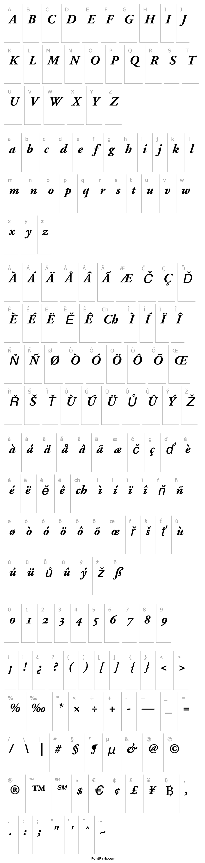 Přehled Adobe Garamond Bold Italic Oldstyle Figures