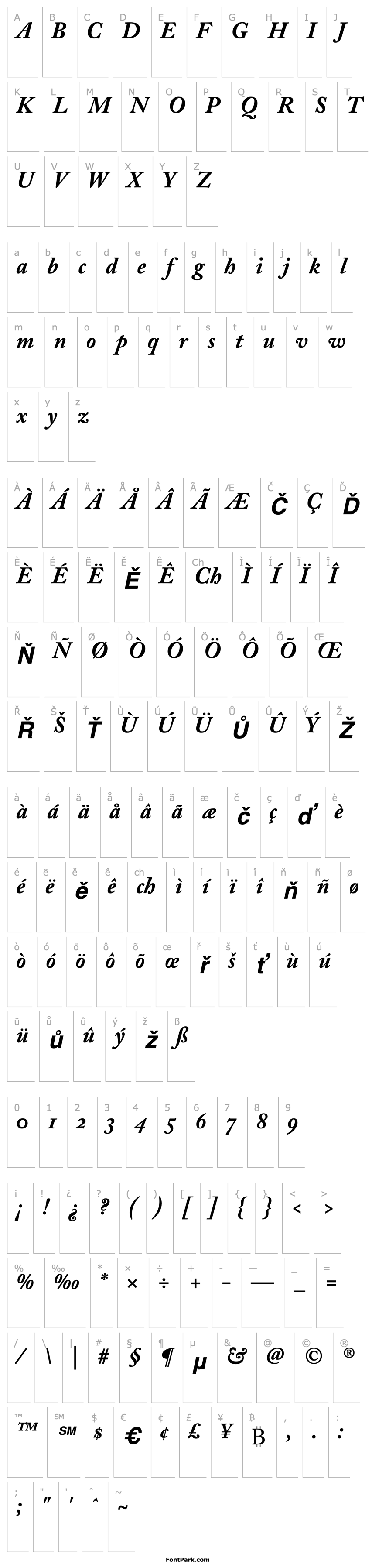 Přehled AdobeCaslonOldstyleFigures-Bold Italic