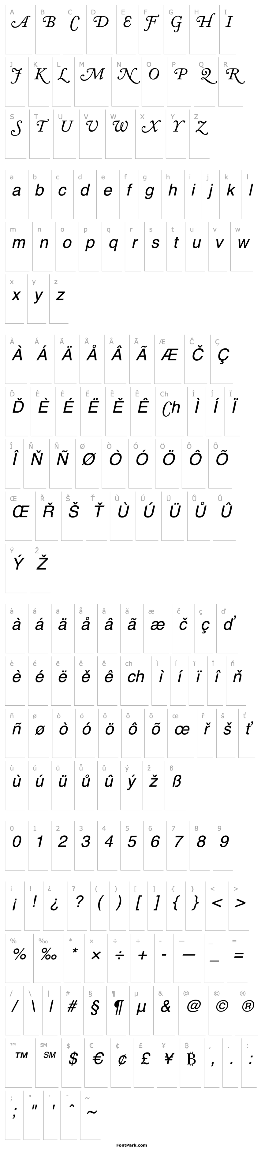 Přehled AdobeCaslonSwash-Italic