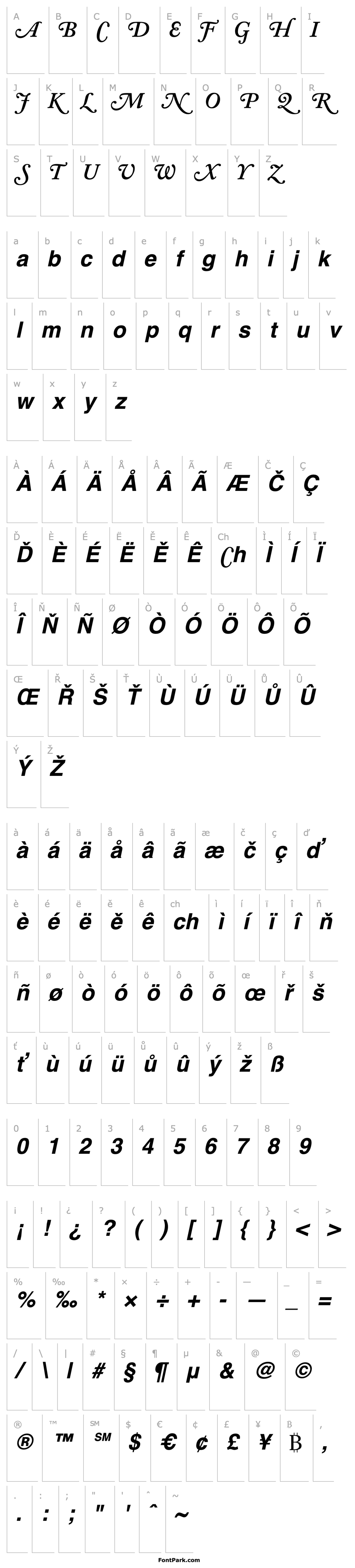 Přehled AdobeCaslonSwash-SemiBold Italic