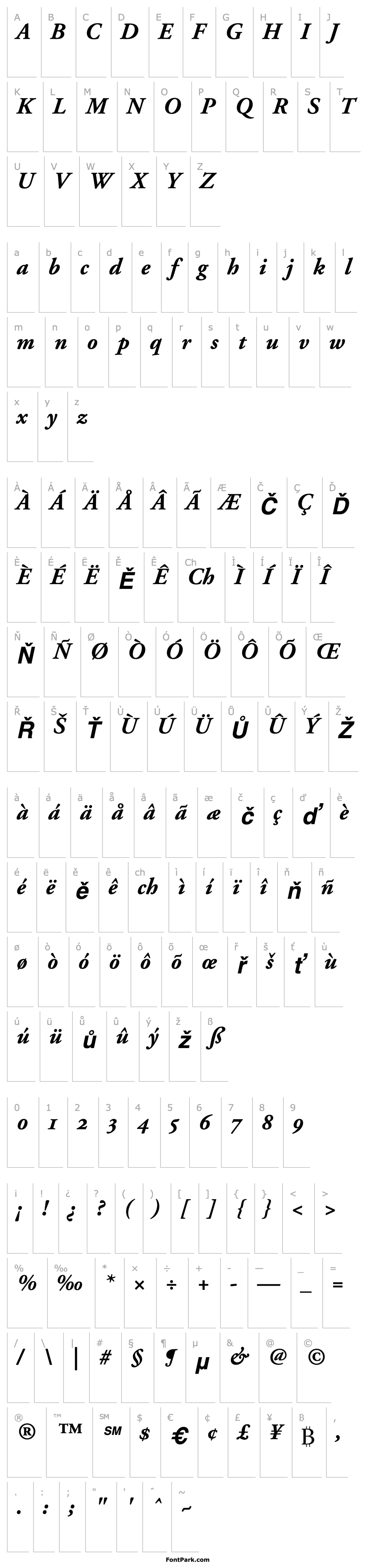 Přehled AdobeGaramondOldstyleFigures-Bold Italic